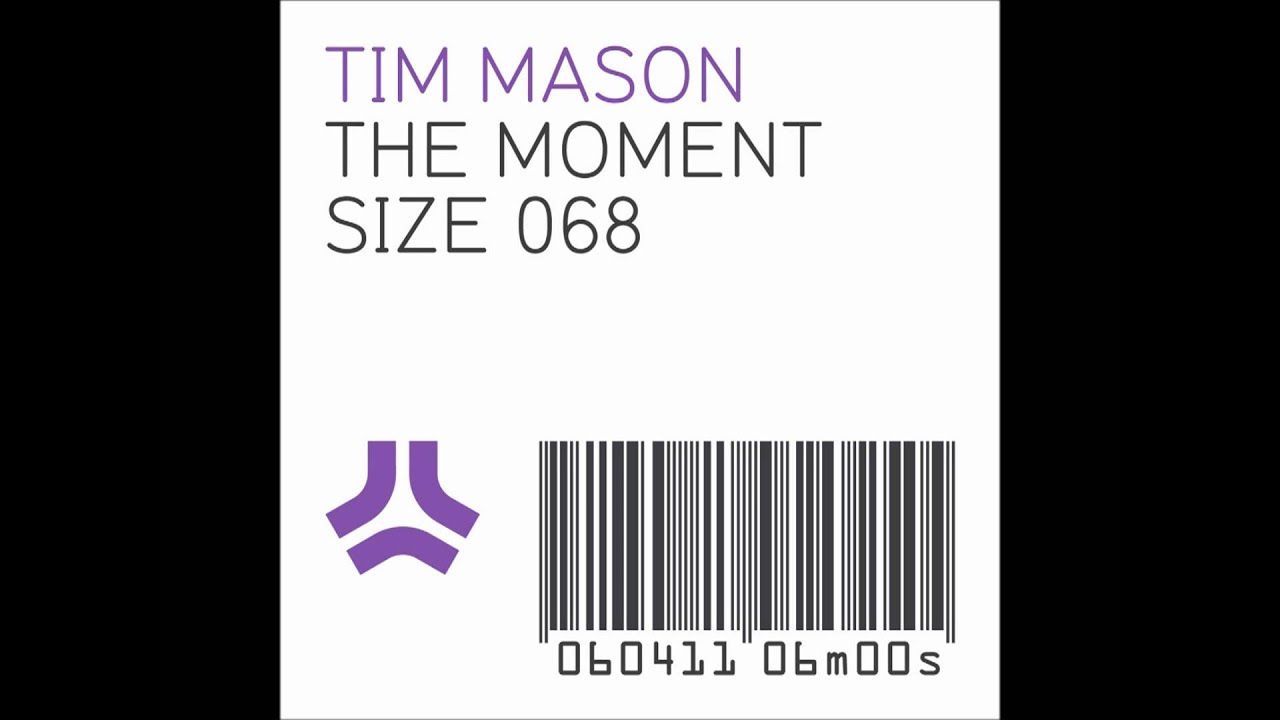 Tim Mason   The Moment (Steve Angello Radio Edit)