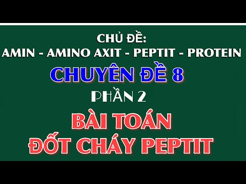 Video AMIN - AMINO AXIT - PEPTIT - PROTEIN || Chuyên đề 8:... - youtube