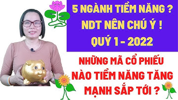 5 nhóm ngành tiềm năng nên chú ý Quý 1 2022?  Nên chú ý những mã cổ phiếu nào? Anne Nguyễn