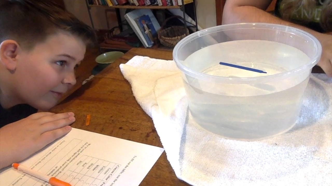 Will Crayons Float or Sink? - YouTube
