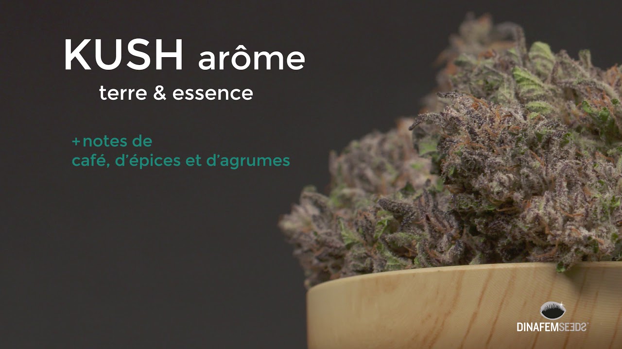 Têtes de Bubba Kush