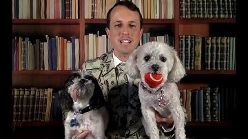 Tax Research Databases are a Tax Researcher