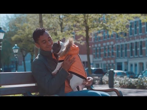 MIMASKOT 'Con Renato Tapia' (2018)