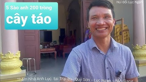 Giá Mua Táo Và Thăm Vườn Táo Mới Trồng Nhà Anh Lục I Núi Đồi Lục Ngạn