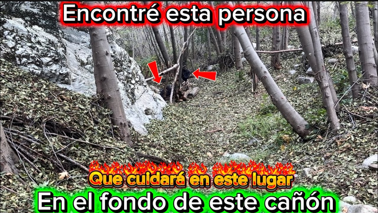 Encontré esta persona que cuidara en este lugar en el fondo de este cañón 