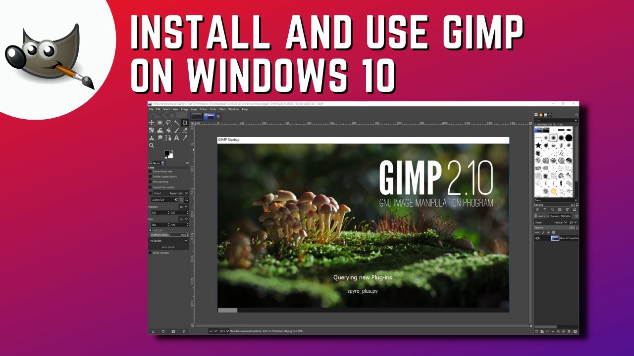 How to Download and Install GIMP on Windows 10 - YouTube