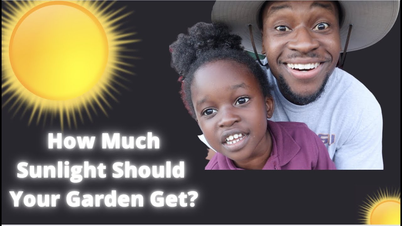 Best Garden Orientation To Determine How Much Sun Your Garden/Plants
