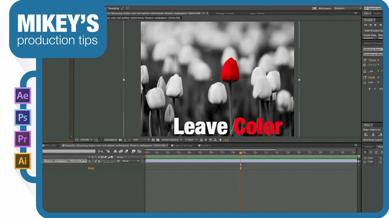 after effects color finesse registration