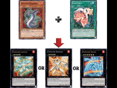 Evoltile Digimon - Yugioh Deck Profile 8-5-12 Evoltile Digimon - Yugioh Deck Profile 8-5-12