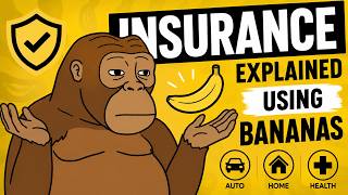 What is Insurance? Explained with bananas