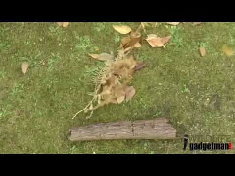 camera iphone 8 plus apk Squirrel LeafArt in the wind 271014