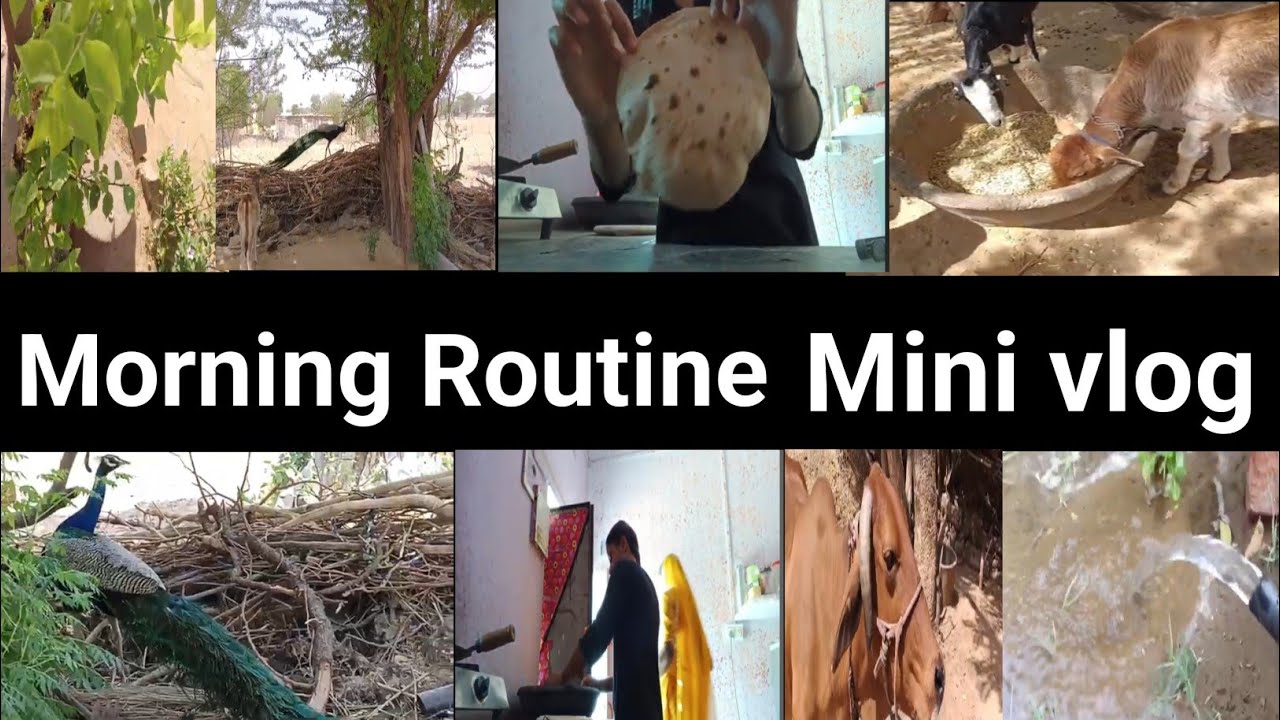 Indian Village Life # Vlog Daily Routine & Beauty Blog 