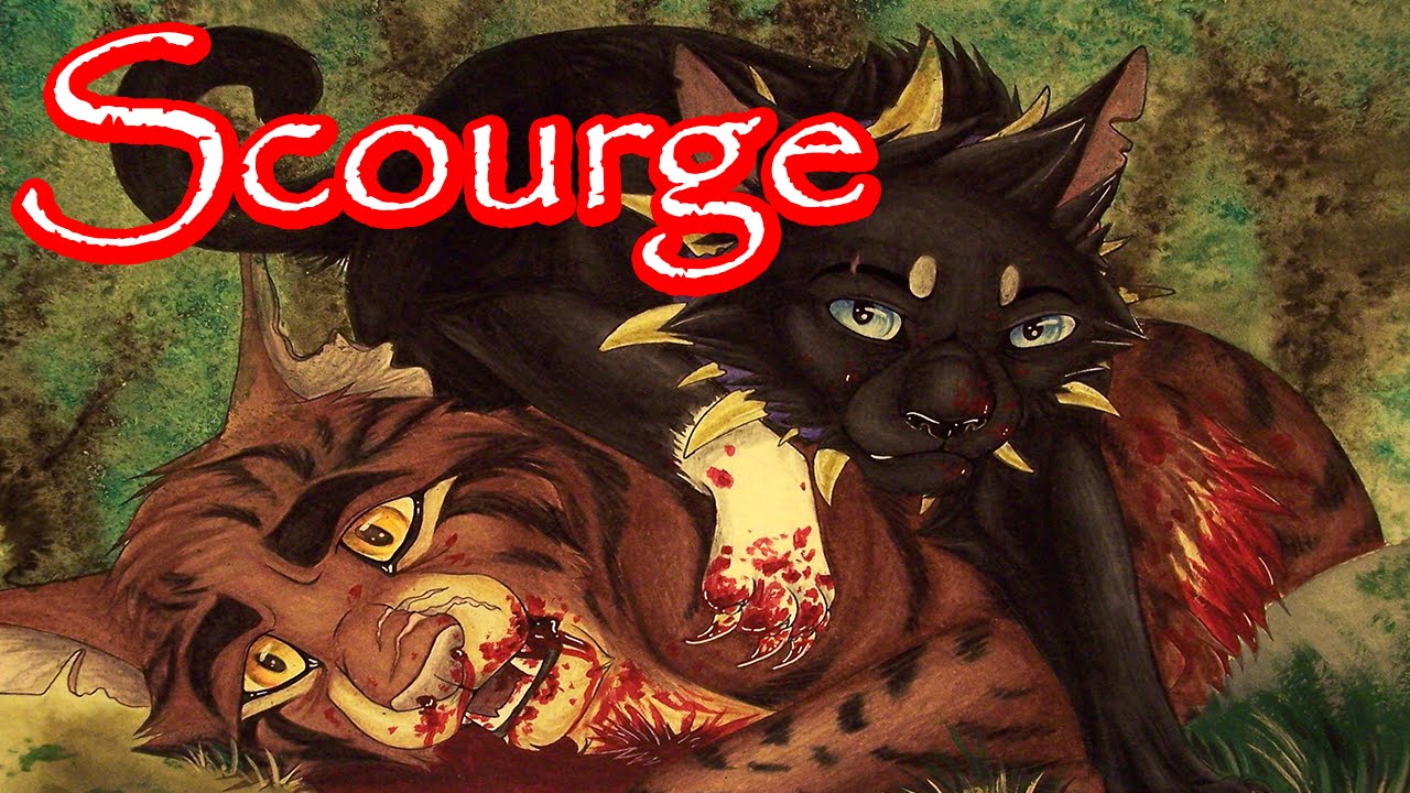 Warrior Cats Scourge 