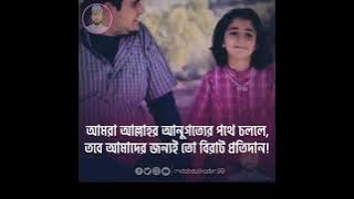 Fi ha (Zamil zamil) Song Lyrics – Bangla Translation
