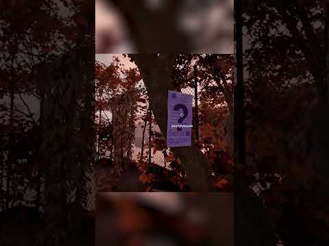 инструкция.. #reis #militsioner #прикол #memes #юмор #игры #угар #funny #gameplay #шутки #funnyvideo