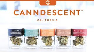 Canndescent Flowers At Southwest Patient Group
