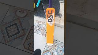 NEW DSC sticker 7 classic_cricket
