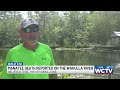 Wakulla County residents raising concerns about recent manatee deaths