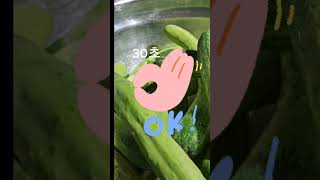 #오이소박이 #맛있는#김치#밑반찬  #아삭아삭#입맛없을때  #여름반찬레시피 #cucumberkimchi #crispycucumber #koreanfood