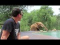 Elephants drinking from the pool at Impodimo Safari Lodge - spinning around the world