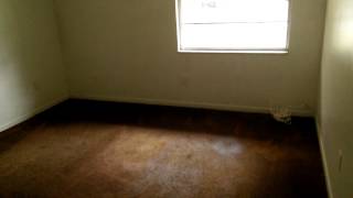 9502 N 12th St. Tampa, Fl. 33612