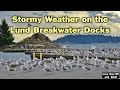 Stormy Views from Lund Marina Breakwater Dock - Late September 2023