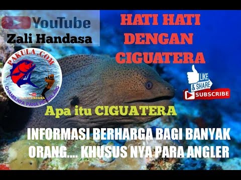 Video: Apakah yang menyebabkan keracunan ciguatera?