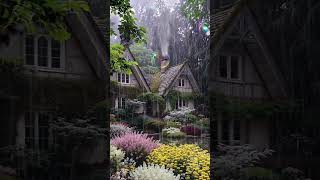 Relaxing Rain Sounds in the Forest: A Calming Retreat for Your Mind and Body