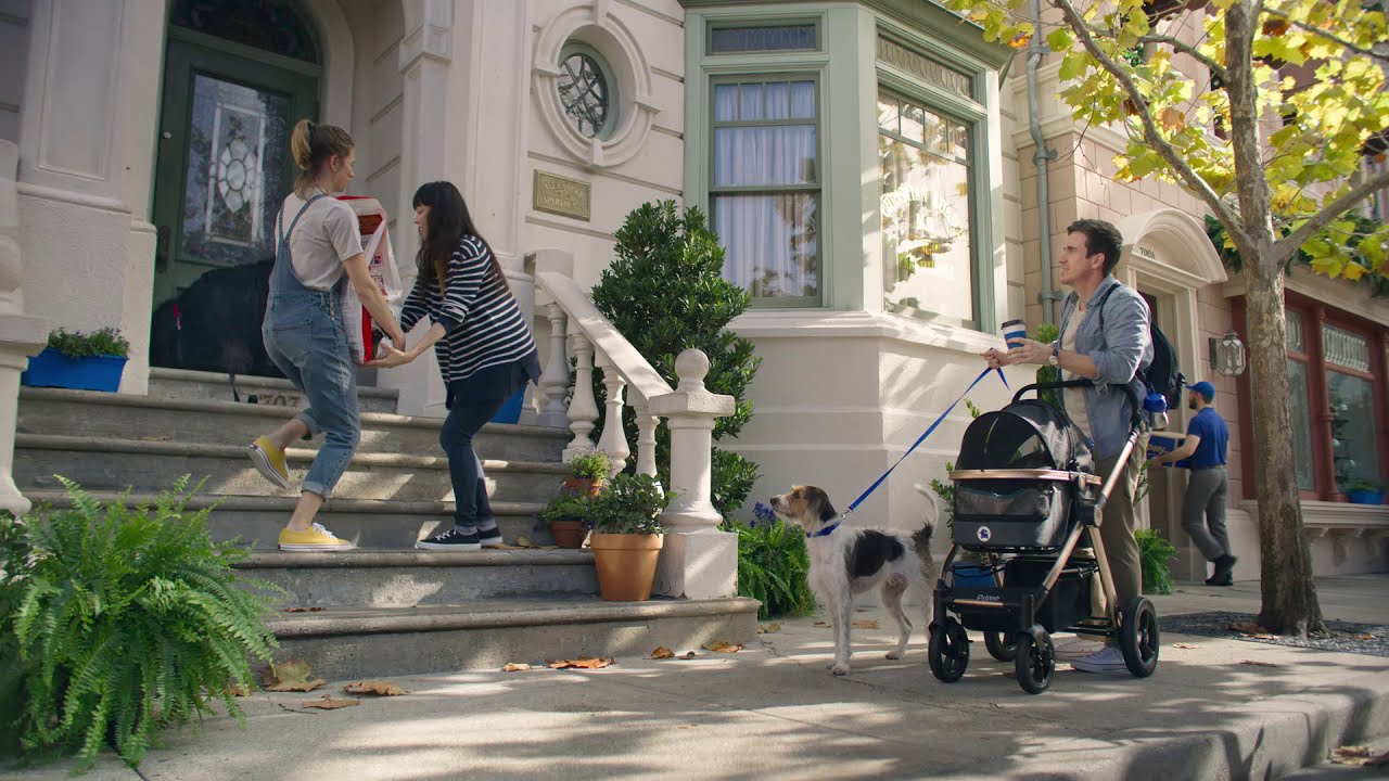 Stoop Struggles Chewy Youtube