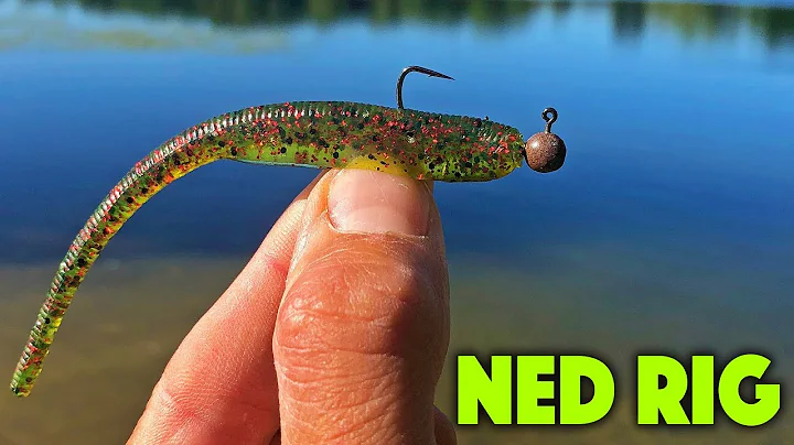 Ned Rig Retrieve Technique - Swim Glide & Shake