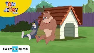 Tom Ve Jerry Tom Ve Spikeın Ziyafeti Boomerang