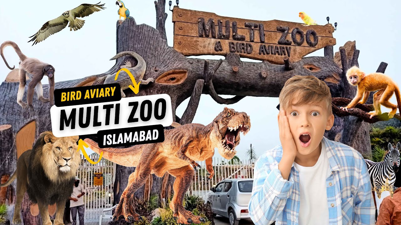 A Fun Visit to Multi Zoo - Bird Aviary | B-17 Islamabad | Travelling Tranquility