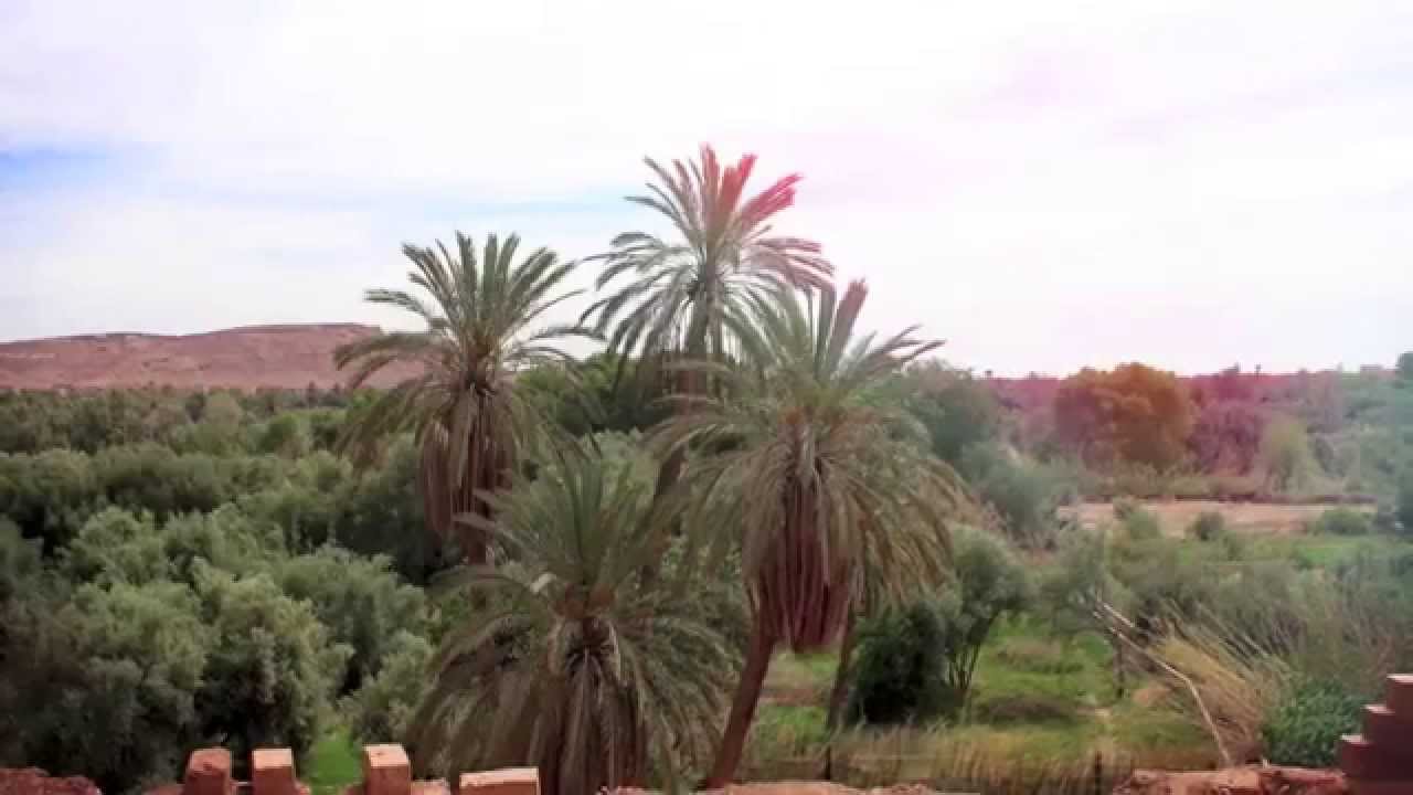 Tinghir-Jerusalem screening @Tinghir: back to where it all started