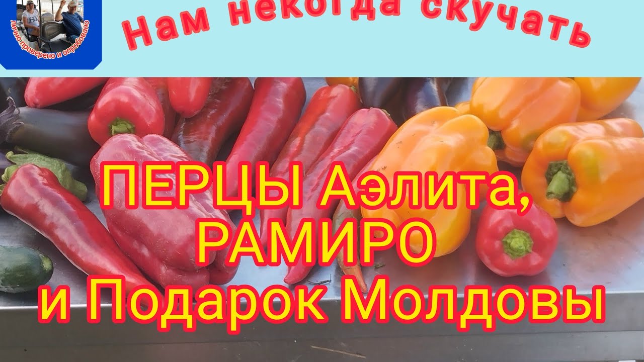 Перцы Аэлита, РАМИРО и Подарок Молдовы