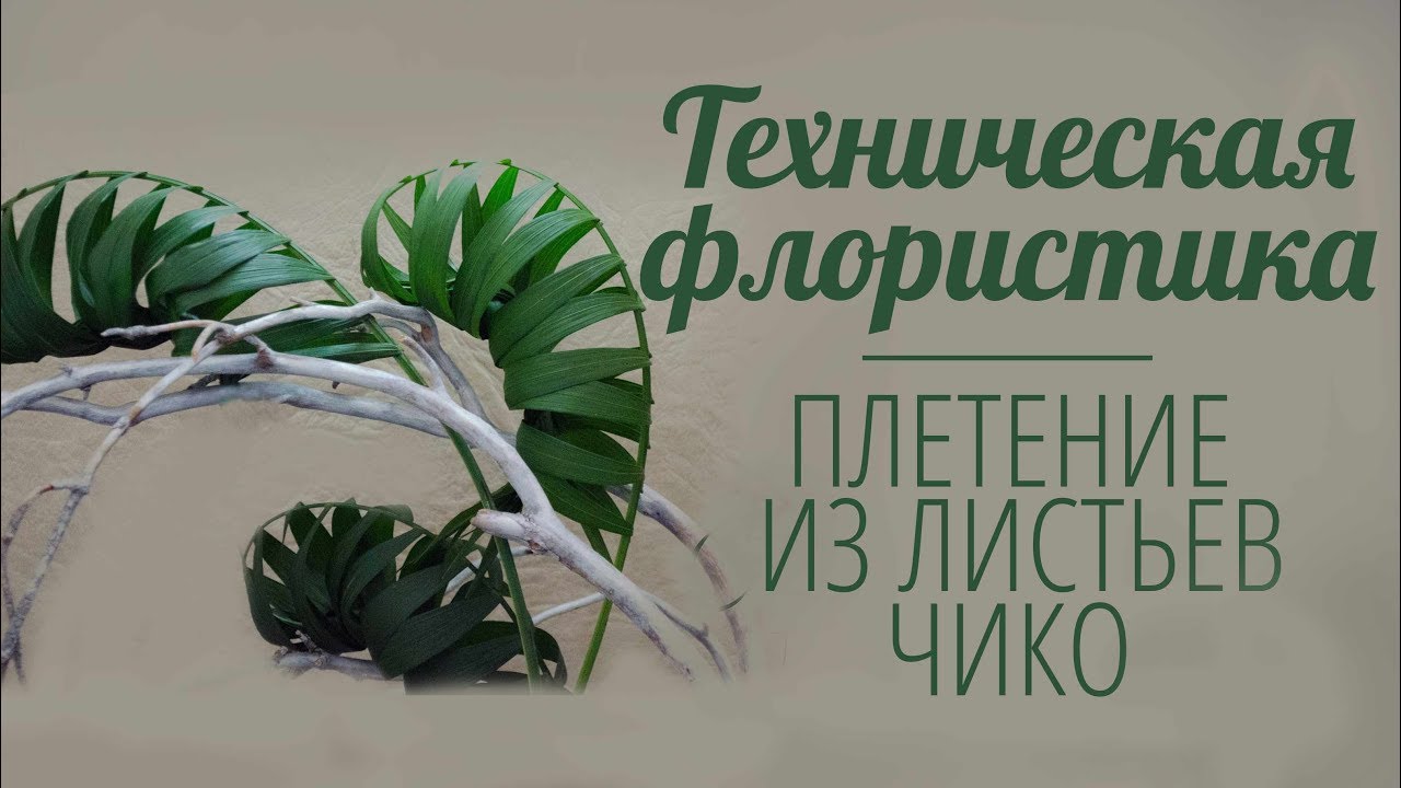 ⁣Флористика для начинающих (Техника Плетение) Мастер класс Floral Lessons. Flowers