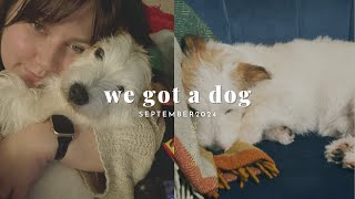 We Got A Dog Iga Cecylia