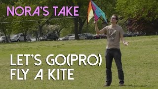 Nora's Take - Let's Go(Pro) Fly a Kite screenshot 2