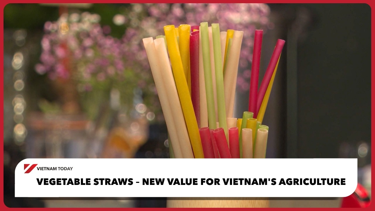 ЕС ускоряет гонку полупроводников с США и Китаем | Vietnam Today