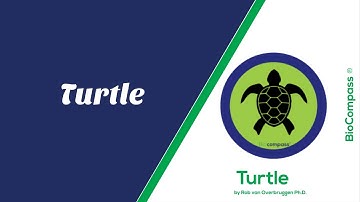 BioCompass® | Unlocking the Secrets of the Turtle:  Tissues and Emotionless Archetypes Explained!