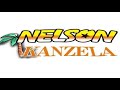 QUE ES LO QUE PASA MIX NELSON KANSELA - DJ DEL REAL d[-.-]b