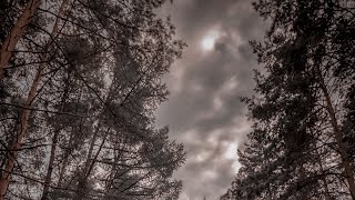 Wana Cala by sugi studio art