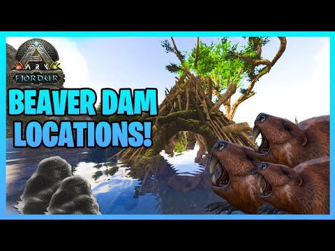 Ark Fjordur | Beaver Dam/Cementing Paste Farming Location - YouTube
