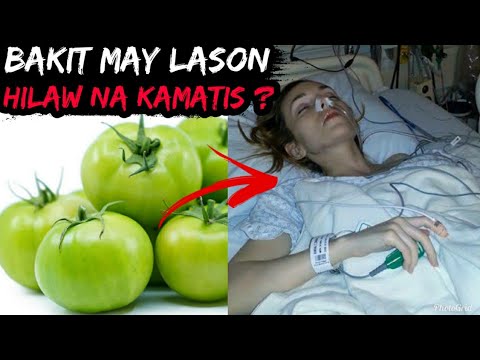 Video: Mga Pananim na Cucurbit - Mga Uri ng Cucurbits At Lumalagong Impormasyon