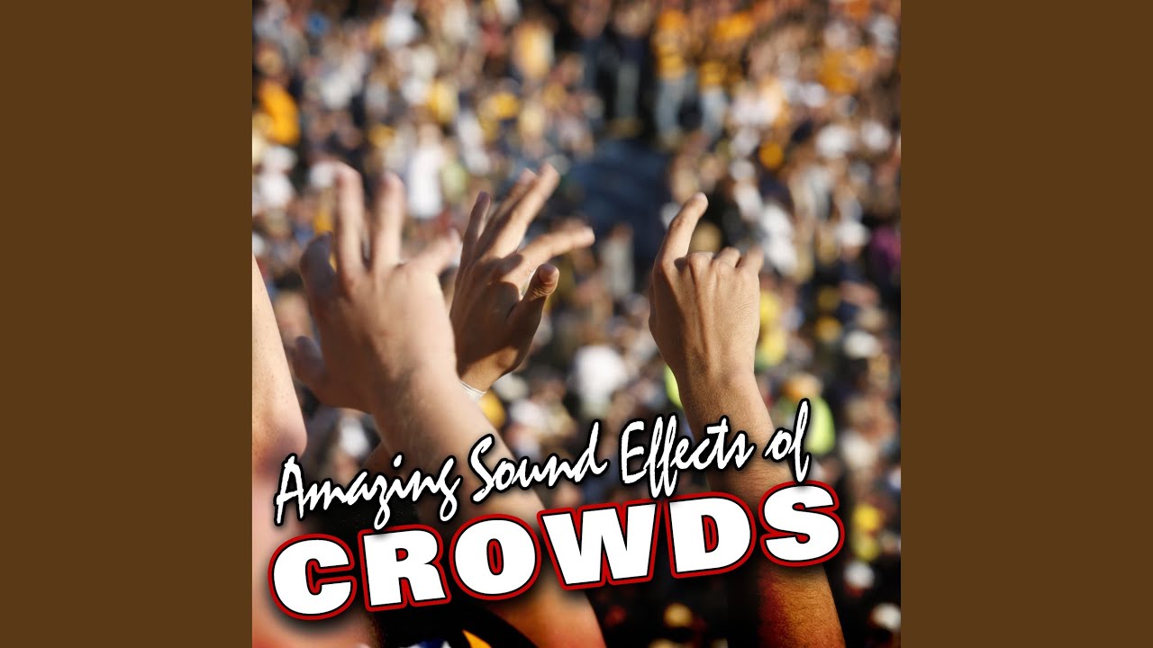 Small Studio Audience Loud Applause and Cheering Small Studio Audience Loud Applause and Cheering