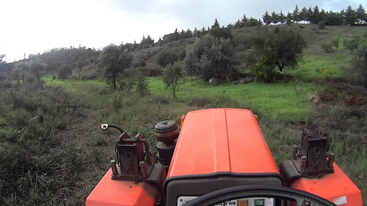 Agria 8980 | Transporte de Azeitona