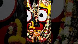 #jagannath#patitapabandarshan#puri#puridham#bhakti#bhajan#shortsfeed#shots#highlights#viral#yt#ytsho