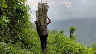 Kholar Khiti Sapole Jaishe Sepong Anar