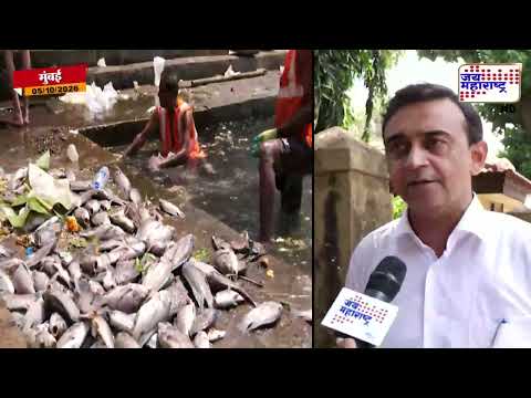Banganaga Lake Mumbai | बाणगंगा तलावात मोठ्या प्रमाणात मासे मृत; प्रदूषणाचा मुद्दा पुन्हा चर्चेत