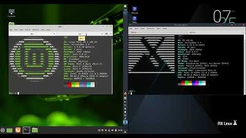 Linux Mint 20.1 vs MX Linux 19.3
