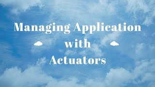 Video 011: Springframework Actuators, Version Numbers in server